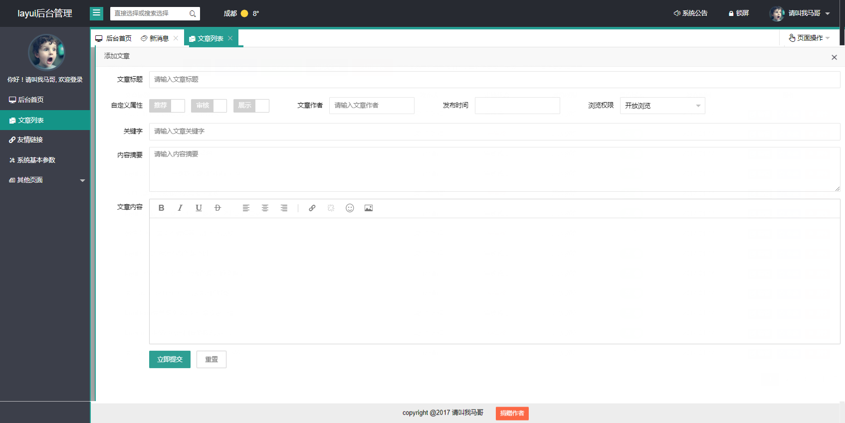 layui 通用后台管理模版（结合工具打开）--0022 预览