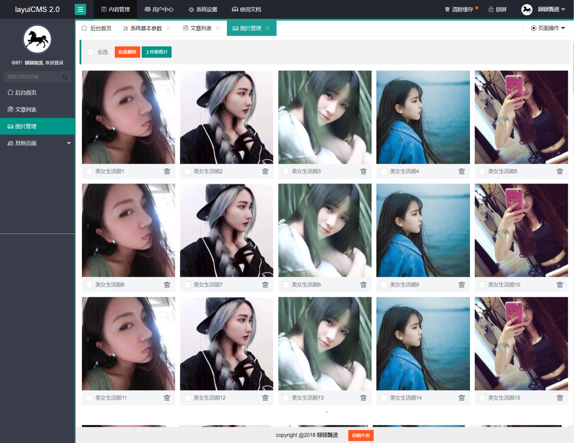 前端模板之 layui 后台通用模板 -0008 预览