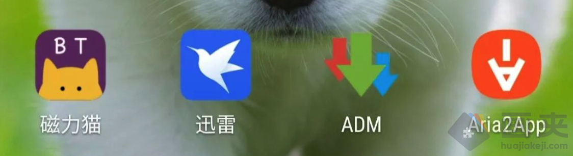 安卓下载工具推荐