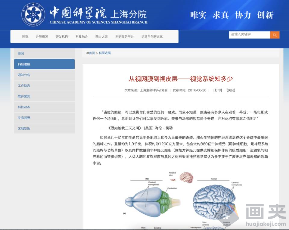 Chrome 插件之 Circle Chrome 插件之 Circle