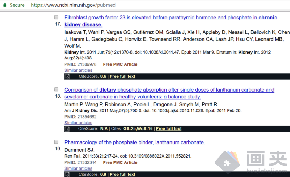 Chrome PubMed 文献自动搜索下载插件 Lazy Scholar